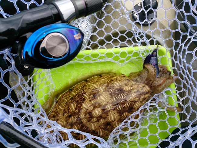 f:id:cippillo:20140611160733j:plain f:id:cippillo:20140611160733j:plain