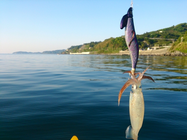 f:id:cippillo:20140611160735j:plain f:id:cippillo:20140611160735j:plain