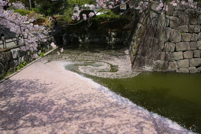 f:id:cippillo:20140611160742j:plain f:id:cippillo:20140611160742j:plain