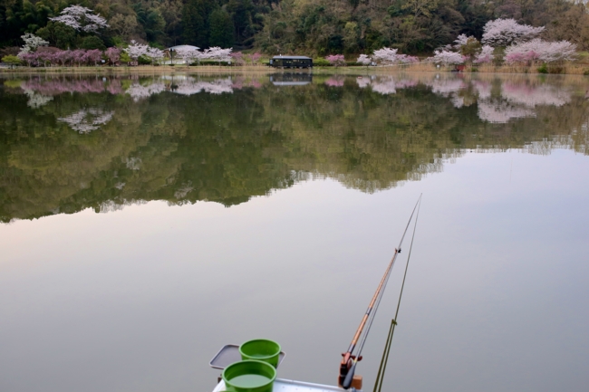 f:id:cippillo:20140611160745j:plain f:id:cippillo:20140611160745j:plain