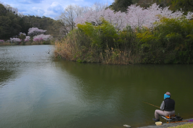 f:id:cippillo:20140611160746j:plain f:id:cippillo:20140611160746j:plain