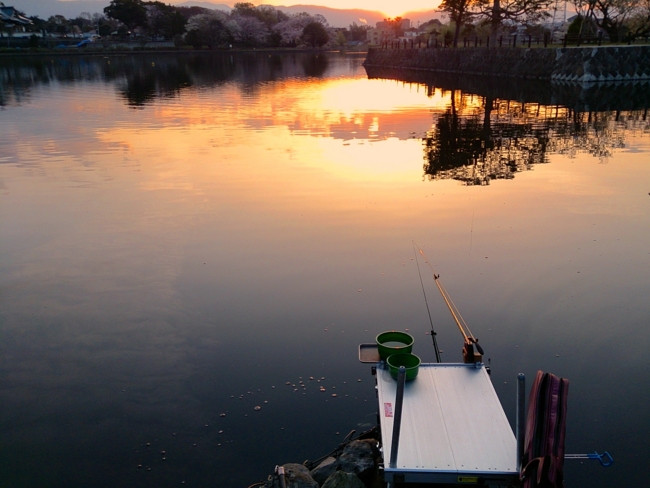 f:id:cippillo:20140611160754j:plain f:id:cippillo:20140611160754j:plain