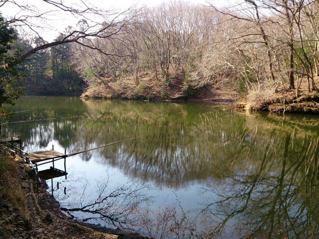 f:id:cippillo:20140611160756j:plain f:id:cippillo:20140611160756j:plain