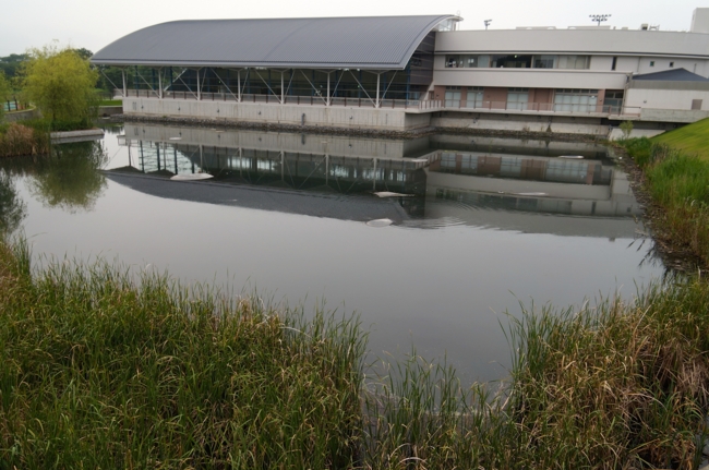 f:id:cippillo:20140621105344j:plain