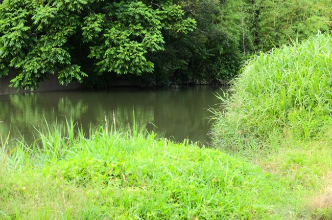 f:id:cippillo:20140621105349j:plain