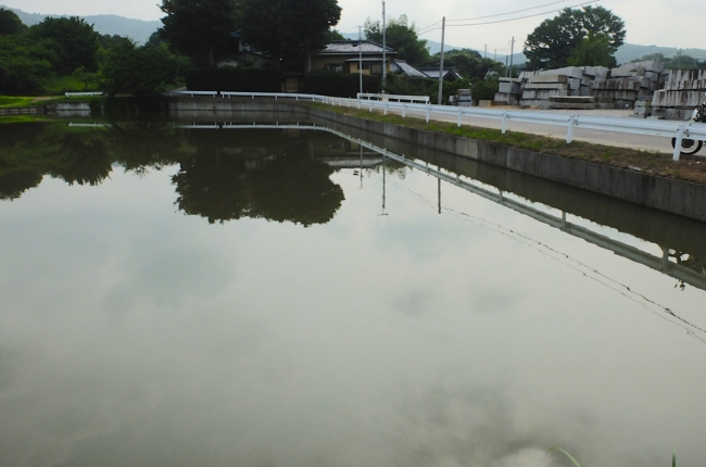 f:id:cippillo:20140621105357j:plain