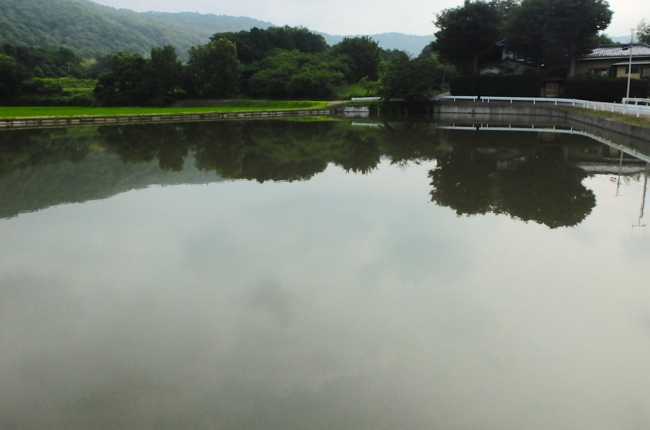 f:id:cippillo:20140621105401j:plain