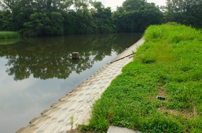 f:id:cippillo:20140621105402j:plain