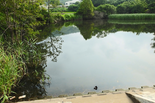 f:id:cippillo:20140621105403j:plain