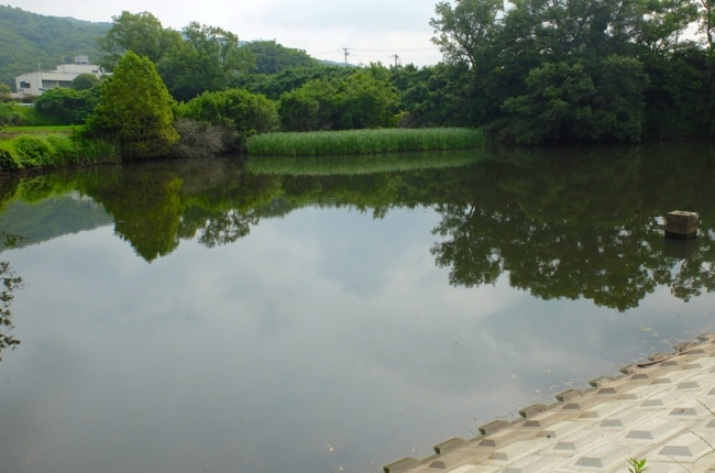 f:id:cippillo:20140621105404j:plain