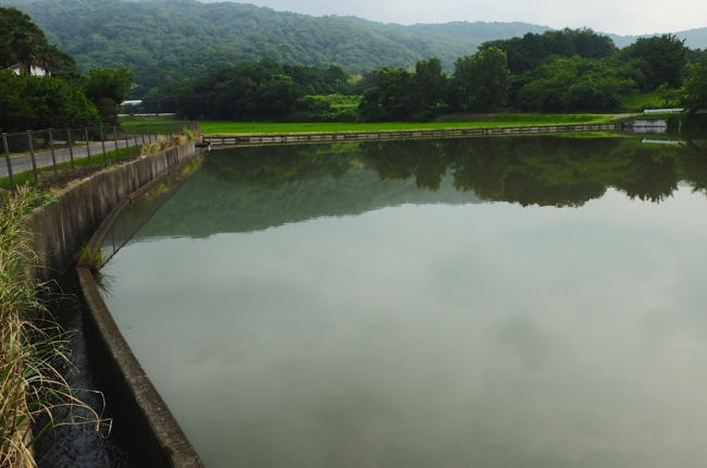 f:id:cippillo:20140621105405j:plain