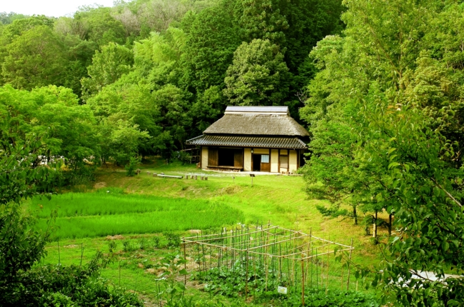 f:id:cippillo:20140717142427j:plain