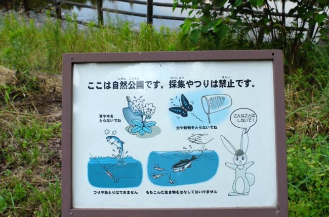 f:id:cippillo:20140717142429j:plain