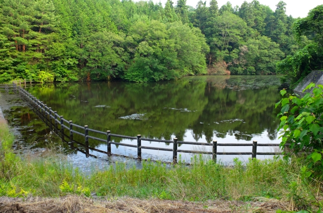 f:id:cippillo:20140717142430j:plain