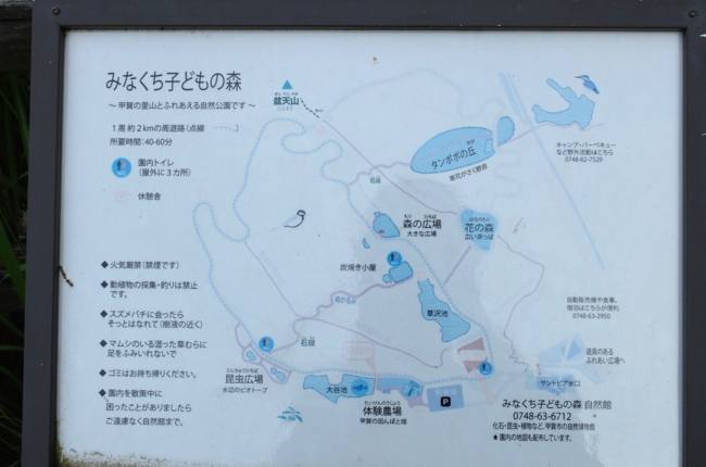 f:id:cippillo:20140717142431j:plain