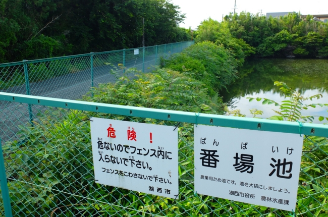 f:id:cippillo:20140717142434j:plain