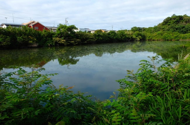 f:id:cippillo:20140717142435j:plain