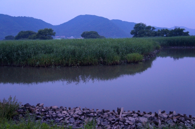 f:id:cippillo:20140725225932j:plain