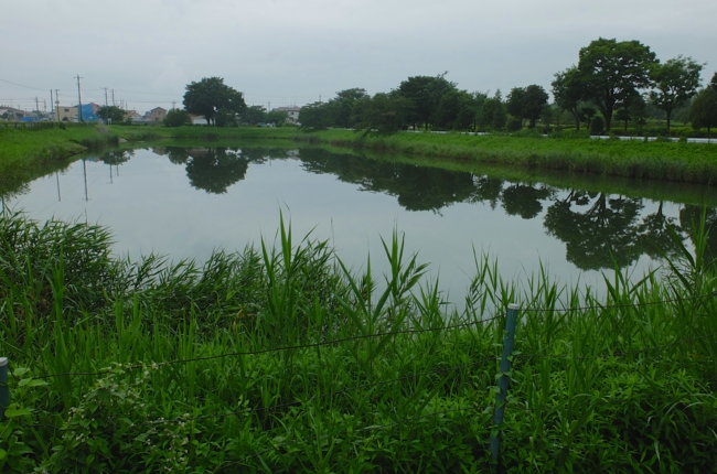 f:id:cippillo:20140725230044j:plain