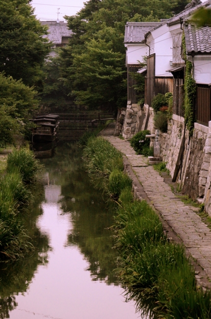 f:id:cippillo:20140804093528j:plain