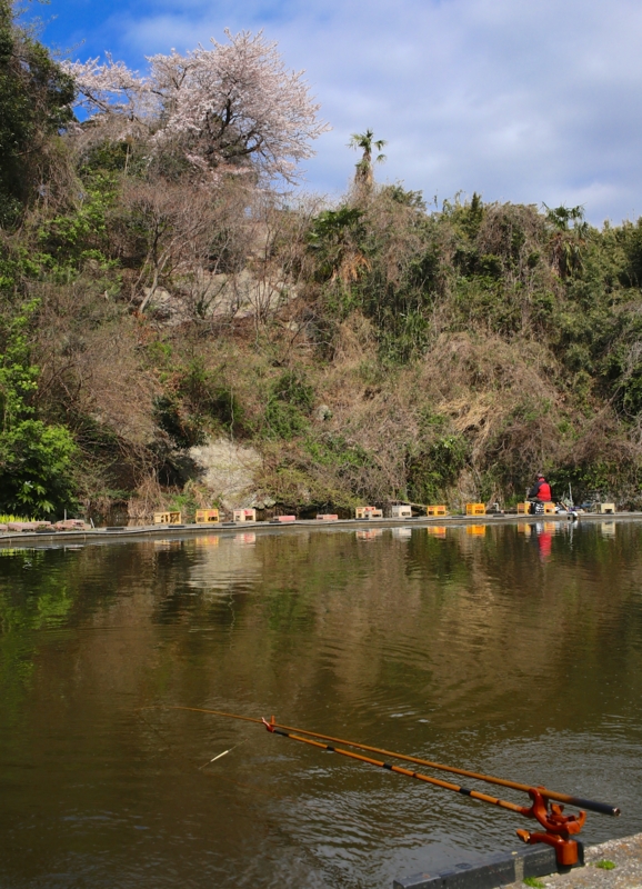 f:id:cippillo:20140823160309j:plain f:id:cippillo:20140823160309j:plain