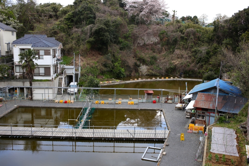 f:id:cippillo:20140823160313j:plain f:id:cippillo:20140823160313j:plain