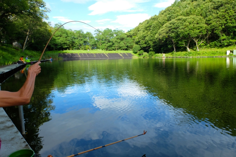 f:id:cippillo:20140823160317j:plain f:id:cippillo:20140823160317j:plain