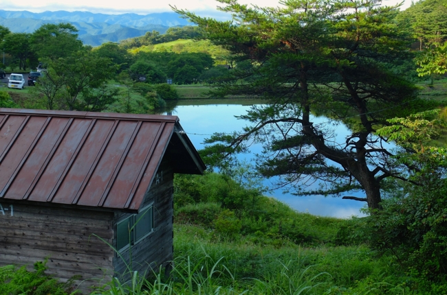 f:id:cippillo:20140830162155j:plain f:id:cippillo:20140830162155j:plain