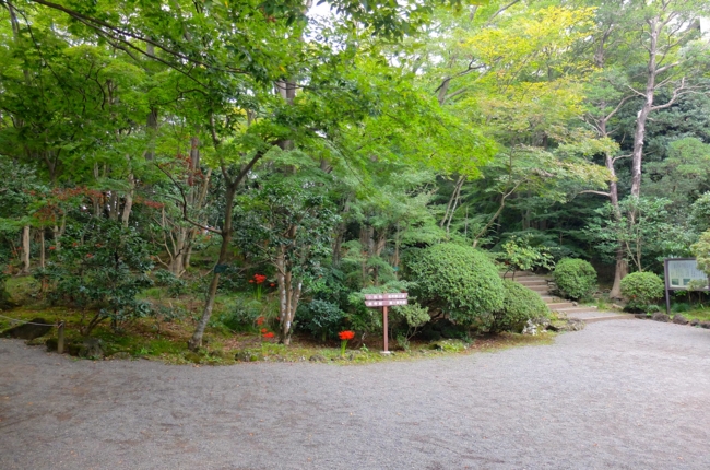 f:id:cippillo:20141007085938j:plain f:id:cippillo:20141007085938j:plain