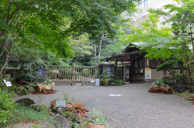 f:id:cippillo:20141007085939j:plain f:id:cippillo:20141007085939j:plain