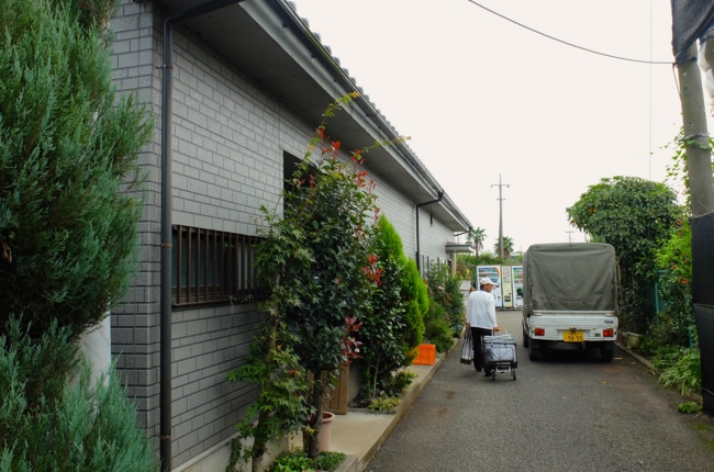 f:id:cippillo:20141010181226j:plain