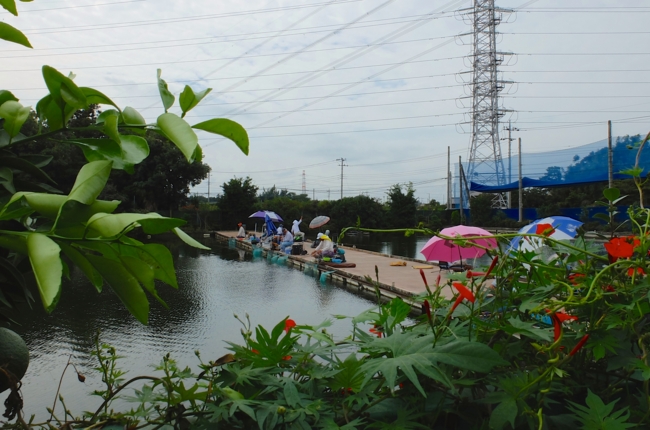 f:id:cippillo:20141010181227j:plain