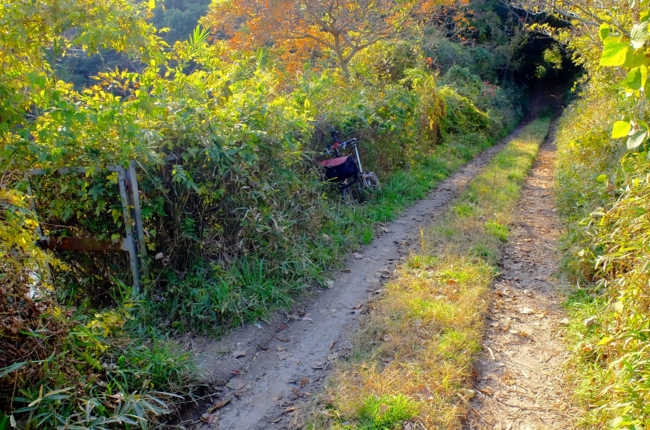 f:id:cippillo:20141124205314j:plain