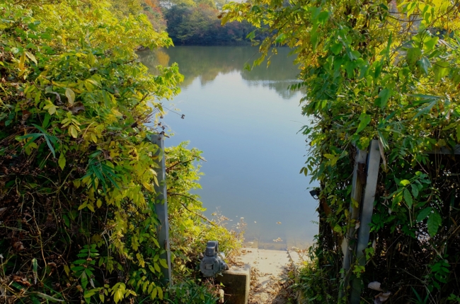 f:id:cippillo:20141124211035j:plain