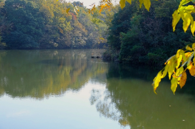 f:id:cippillo:20141124211036j:plain