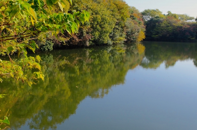 f:id:cippillo:20141124211037j:plain