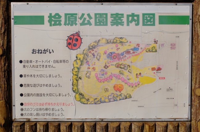 f:id:cippillo:20141124211040j:plain