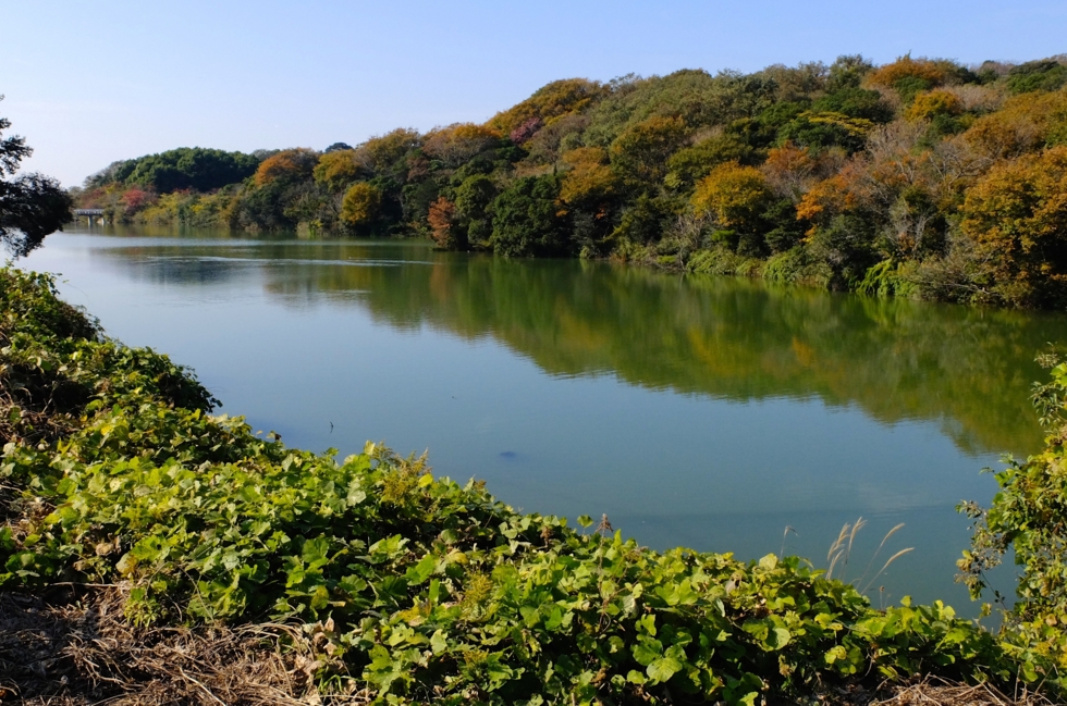 f:id:cippillo:20141210100901j:plain