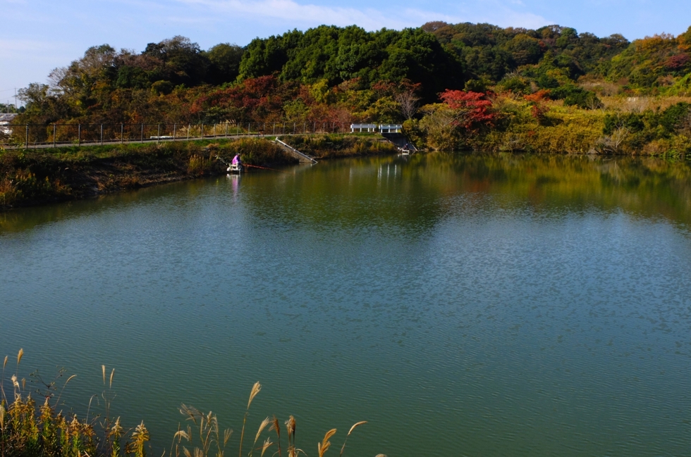 f:id:cippillo:20141210100905j:plain