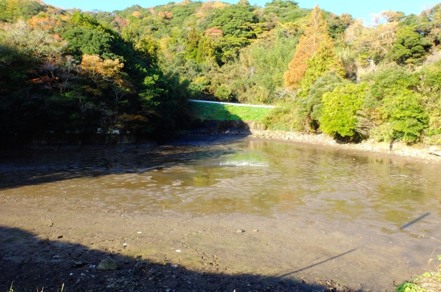 石堂の池（仮称）（千葉県南房総） - 水辺遍路