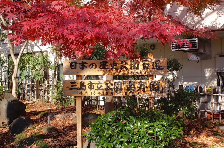 f:id:cippillo:20150204074548j:plain f:id:cippillo:20150204074548j:plain