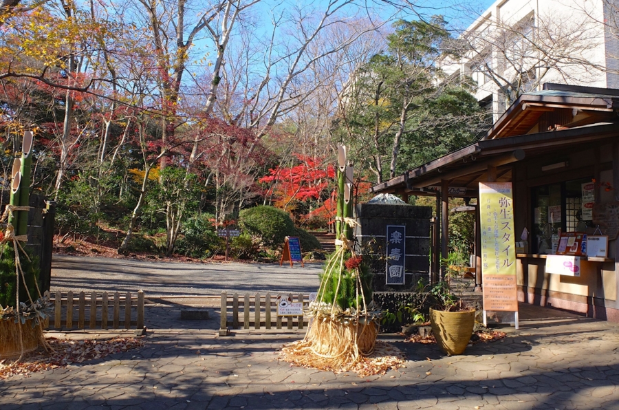 f:id:cippillo:20150204074549j:plain f:id:cippillo:20150204074549j:plain