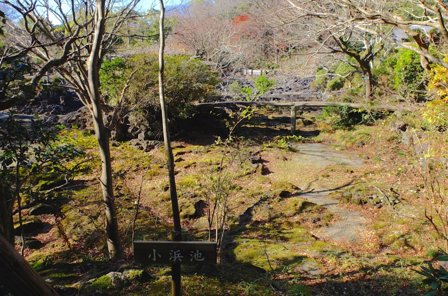 f:id:cippillo:20150204074553j:plain f:id:cippillo:20150204074553j:plain