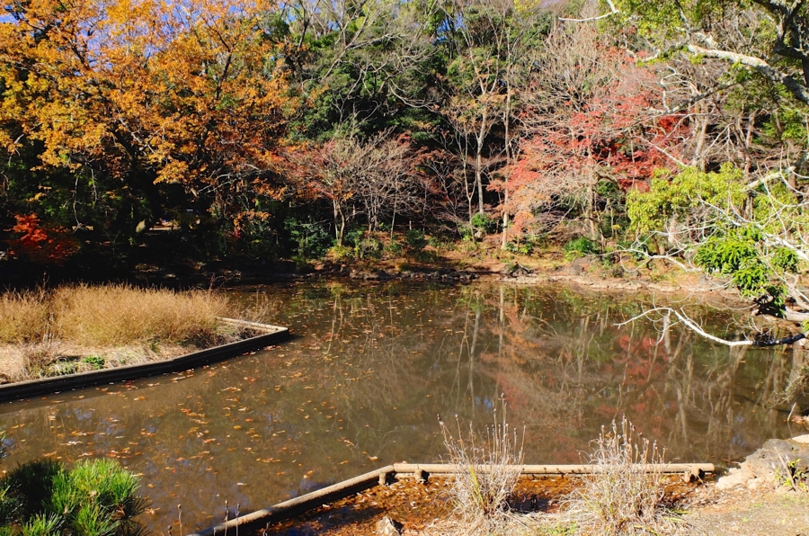 f:id:cippillo:20150204074557j:plain f:id:cippillo:20150204074557j:plain