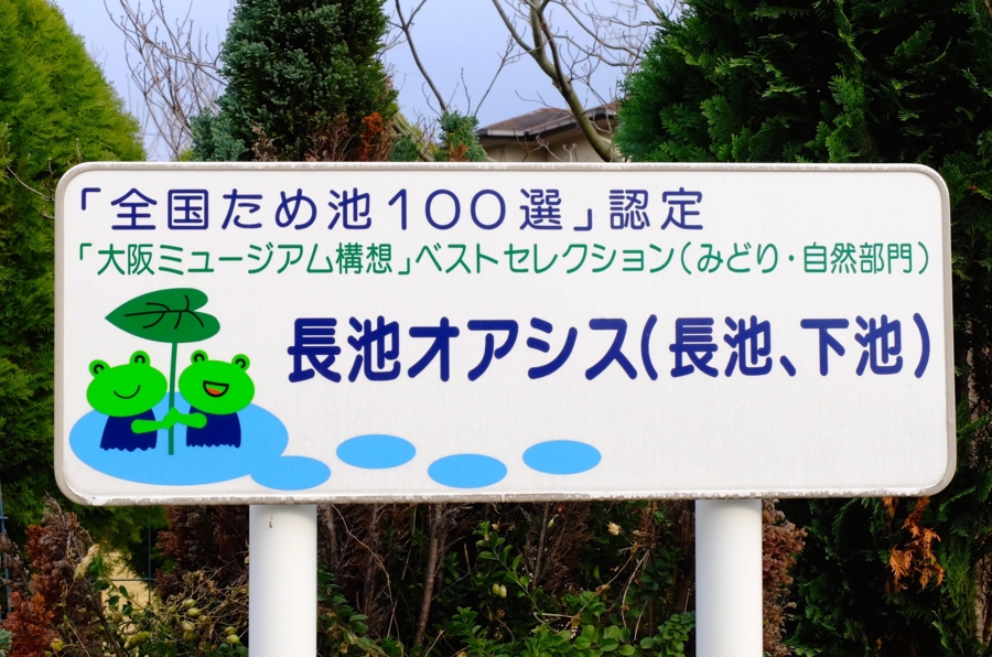 f:id:cippillo:20150305051928j:plain