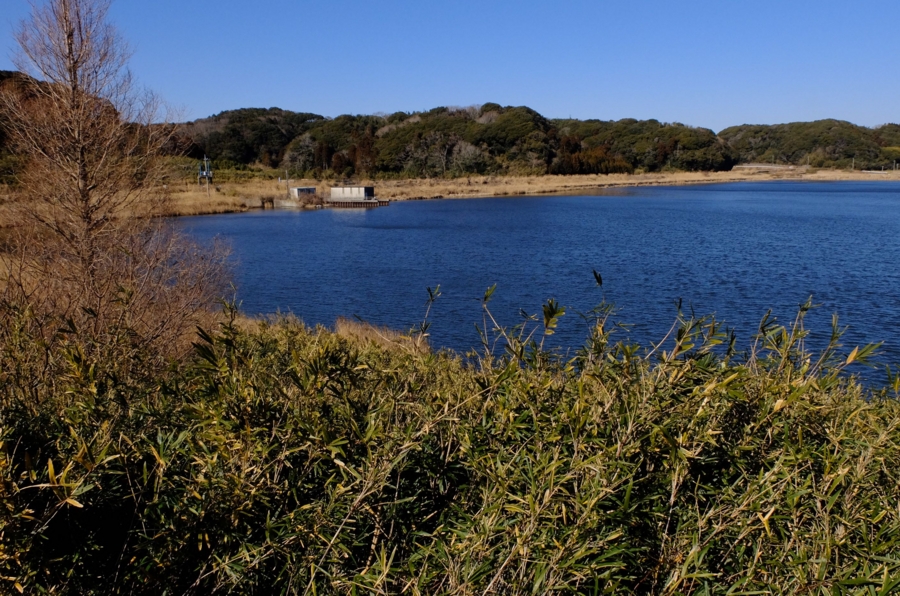 f:id:cippillo:20150321121804j:plain