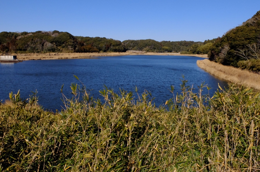 f:id:cippillo:20150321121805j:plain