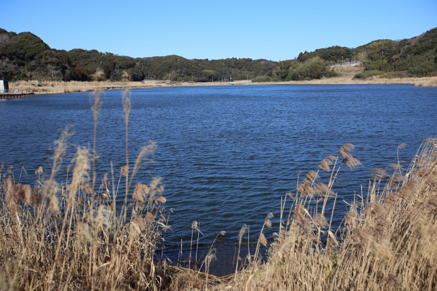 f:id:cippillo:20150321121807j:plain