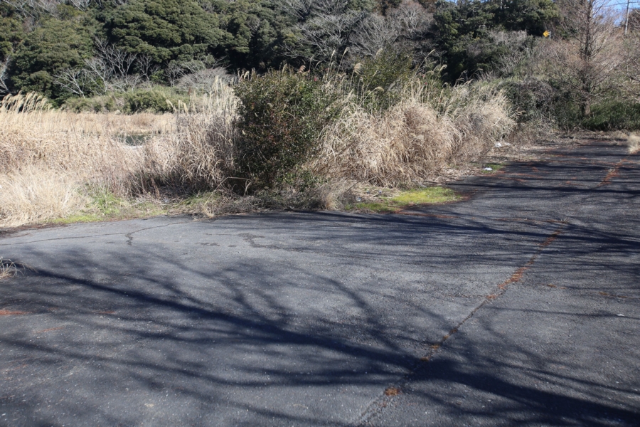 f:id:cippillo:20150321121808j:plain