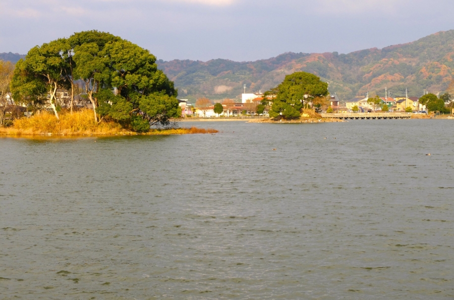 No.5【初夏の平池緑地公園】 平池（和歌山県紀の川） - 水辺遍路